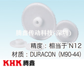 DS注塑成型正齒輪